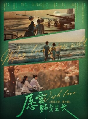 《愿爱：野蛮生长》剧本杀复盘：凶手身