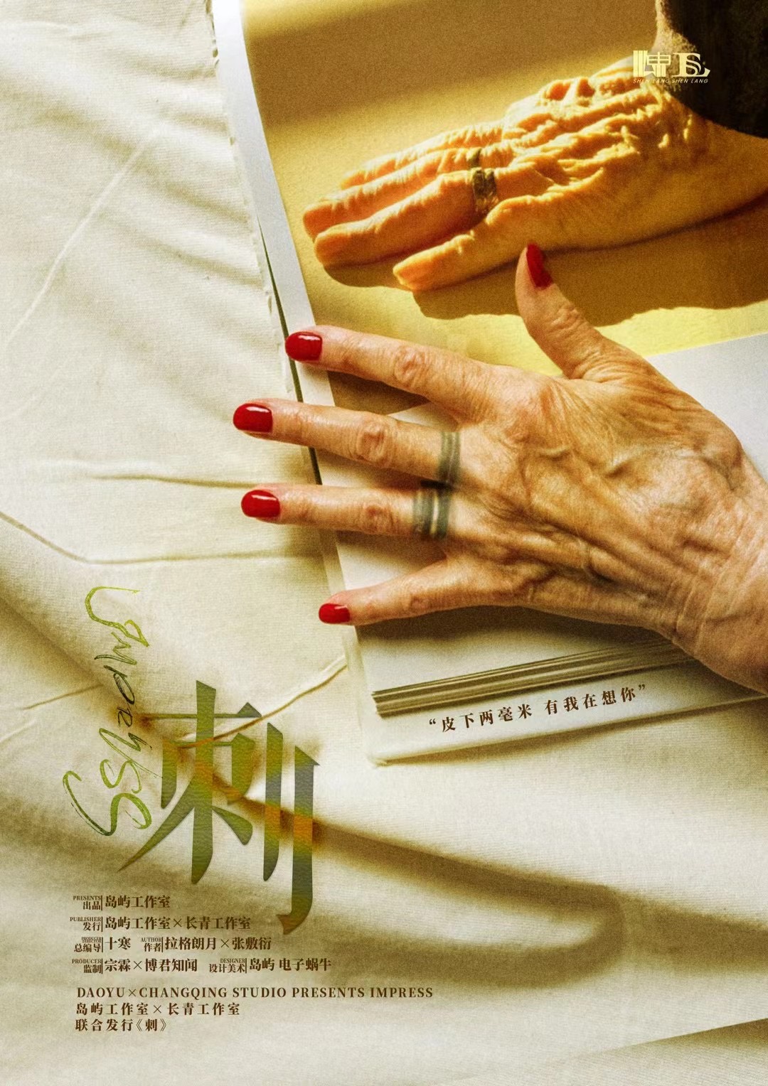 《刺》剧本杀复盘:凶手身份与动机分析+推理路线回顾+解开谜题的最终